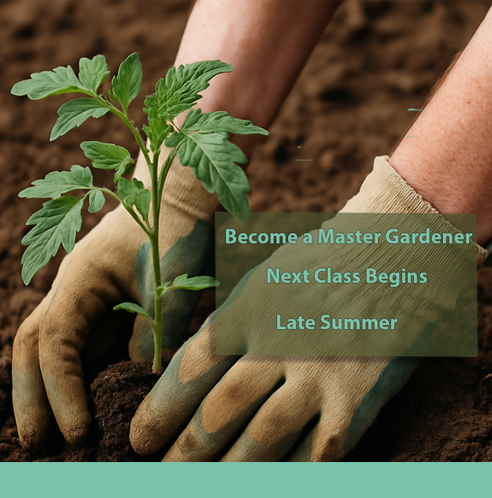 Master Gardener Classes Starting Soon