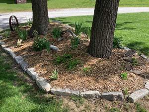 Garden beds at Two Rivers Bike Park