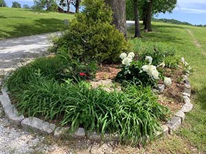 Wildflowers and trails at Two Rivers Bike Park